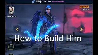 Ninja How to Build - Him Raid Shadow Legends
