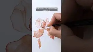 Exciting news! The doors to my floral drawing & watercolor courses are open. Link in bio