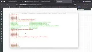Adding DC Nexus 9000v device in Eve NG