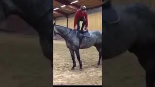 Ты че с коня сбросился что ли🤣🤣🤣