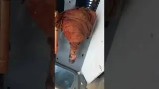 #vrf