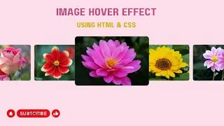 CSS Image Hover Effect | How to zoom image using html & css 