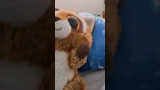 Beanie Boo Rusty