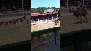 Состязание конных рыцарей. 
