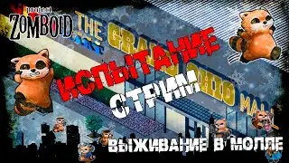 Project Zomboid | Огайо-Молл Челлендж | Страдания продолжаются (ночной стрим №5)