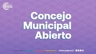 Concejo Municipal Ordinario N°29