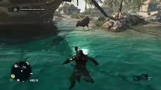 Assassin's Creed IV Black Flag ► Корова пасётся на дне моря [Глитч - Баг]