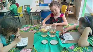 Aconteceu por aqui!!! Infantil 5 BT