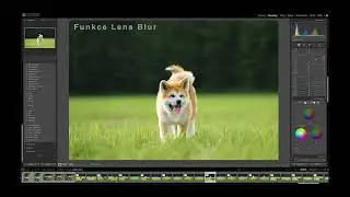 Novinky v Adobe Lihtroom Classic