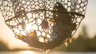 Fly Fishing the Spokane River in the Evening - Short Clip