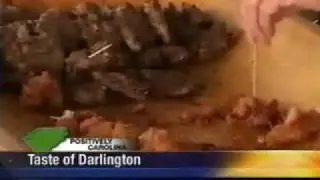 2009 TASTE OF DARLINGTON
