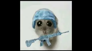 Опять с вх