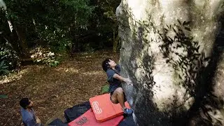 Pickles Arete CHC