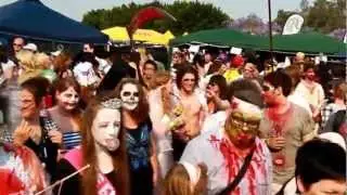 Brisbane Zombie Walk Movie 2