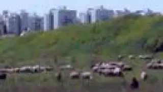 Rehovot History Walk 2008 צעדת רחובות Реховот дорога истории