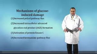 Mechanisms of glucose induced damage