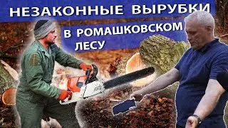 Парк Малевича - истребление леса под видом благоустройства. Кому это нужно?