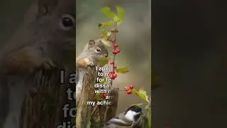 3D-Audi Sound: Freedom from Marriage and Soul Toad