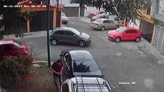 Lady  run over kitten