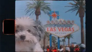 Las Vegas / Palm Springs Super 8 2022