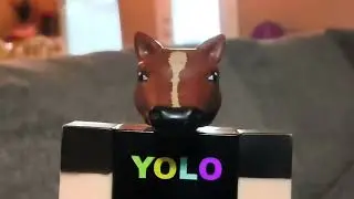 Roblox horse character noise lol