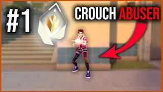 Why It’s Impossible to Fight Primmie
