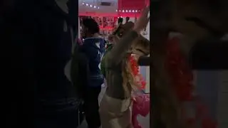 Dancing giraffe and raving walrus at a secret mini dance party rave in a fancy dress shop in Leeds.