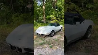The SushiBoiz will have a Corvette someday… #cars #shorts #corvette #contentcreator