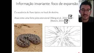 Aula 08 - Percepção visual e ação (parte 1)