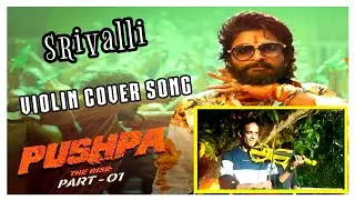 pushpa srivalli song violin cover