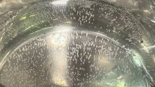 Как вскипятить воду самостоятельно