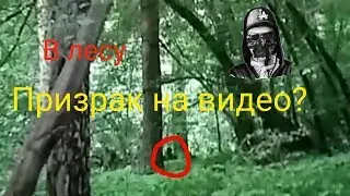 Вернулись в лес с призраком! | Продолжение #2