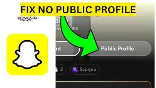 How To Fix Snapchat Public Profile Not Showing(EASY)