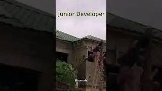 Senior Vs Junior Developer 😂 