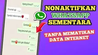 Cara Menonaktifkan WhatsApp Untuk Sementara Tanpa Mematikan Data Internet