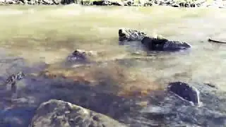 Футаж для монтажа (Река, течение) [Footage for installation (River, current)] HD
