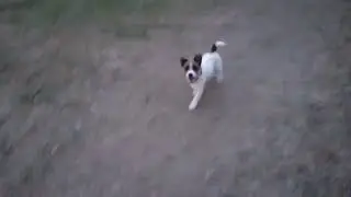 Утро начинается с зарядки