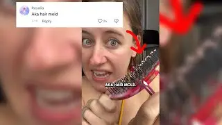 Is there HAIR MOLD in YOUR brush?! 🤢