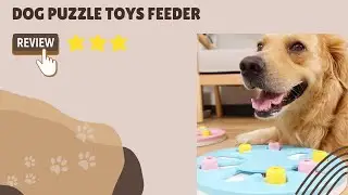 Dog Puzzle Toys Feeder | Dogizz | Free Worldwide Delivery