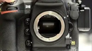 Nikon D5 14 fps continuous shooting