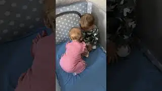 У двойняшек драка за книгу 