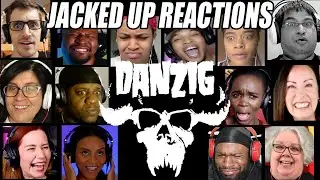 The Best Reactions to 