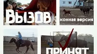 ВЫЗОВ ПРИНЯТ! Конная версия (№1)