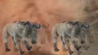 The Lion King: Plush Edition part 7b