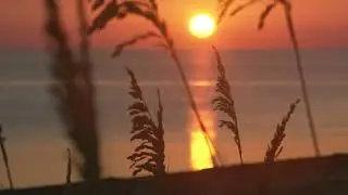 Злата Литвинова 