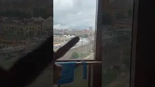 показалось😁