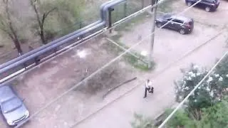 MOV01976