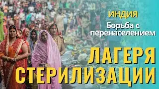 Лагеря стерилизации - как борьба с перенаселением