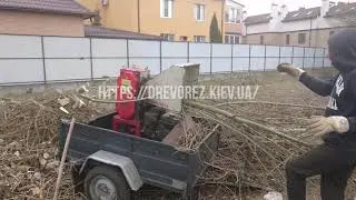 Измельчение веток аренда