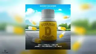 VITAMIN D RIDDIM MIXXX